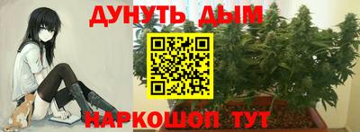 индика Среднеуральск