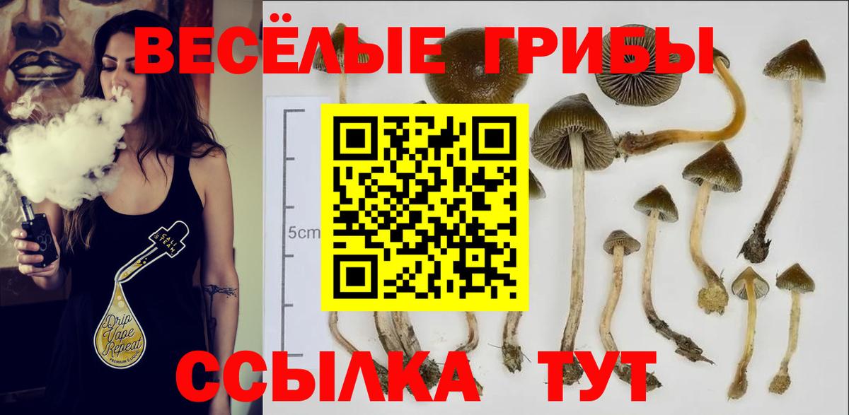 Экстази  Cocaine  Меф   Псков  Вход с VPN  Канабис  НБОМе  ГАШ  Мефедрон 